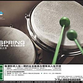 聚星城房产宣传品