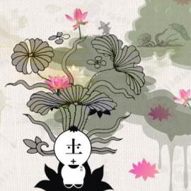 【会员作品】宋波的视觉作品欣赏