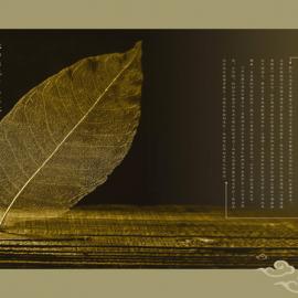 化妆品宣传册设计