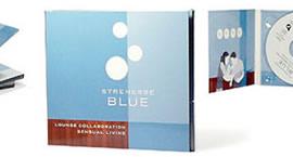 dzallas 平面设计作品