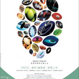 红鹤沟通作品-绝对橄榄·创作年鉴