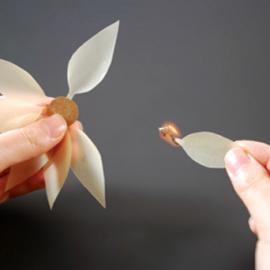 火柴像花儿一样绽放