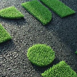 无需浇水的草坪