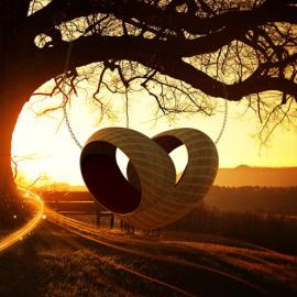 你和我坐在树上，恋爱中……