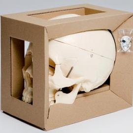 当代艺术价值连城的骷髅头