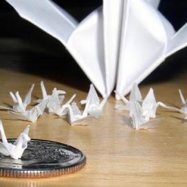 微型折纸最小的千纸鹤