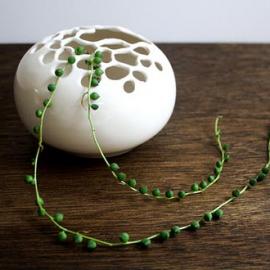 适合居家生活的漂亮花瓶