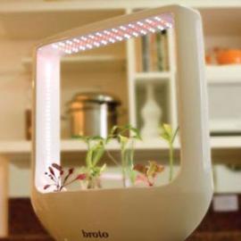 高科技盆栽Broto