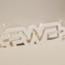 神奇的FWA设计图片