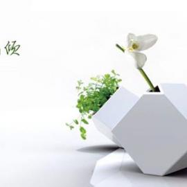 倾斜的立方体花瓶