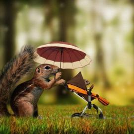 Caras Ionut 创意摄影作品