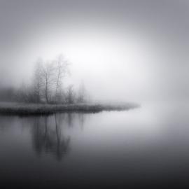 Carmen Spitznagel 摄影作品