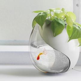 鱼缸花盆
