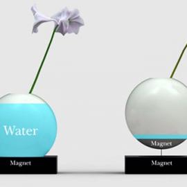 提醒你加水的神奇花瓶