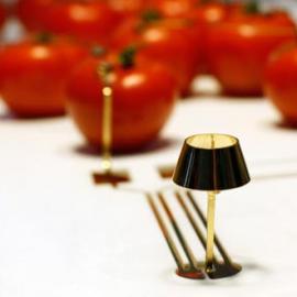 番茄供电的LED灯