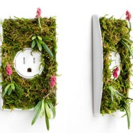 节能低碳提示开关