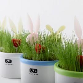 月光兔小夜灯盆栽