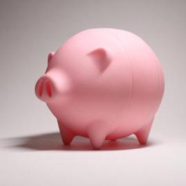 会长大的小猪存钱罐