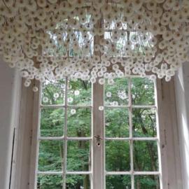 2000束倒挂的蒲公英