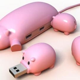 母猪集线器+小猪u盘