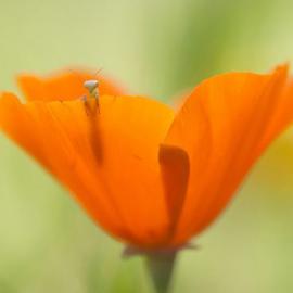 近期国家地理杂志摄影作品