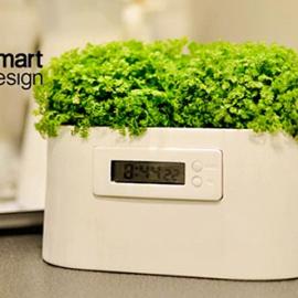 靠植物发电的电子钟