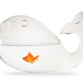 在鱼肚子里面养鱼：鲸鱼鱼缸