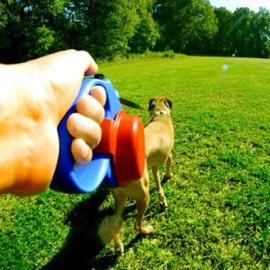 牵狗绳上的饮水碗