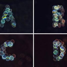 用阳光写出的字母