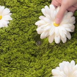 可以“种植”的雏菊花园地毯