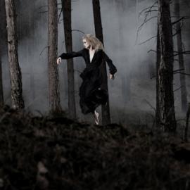 Сarsten Witte 摄影作品