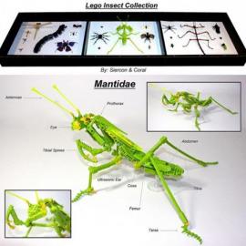 非常酷的设计：Lego 昆虫