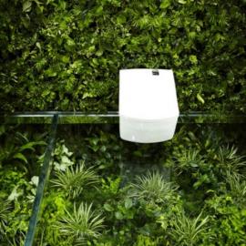 埋没在绿树丛中的洗手间