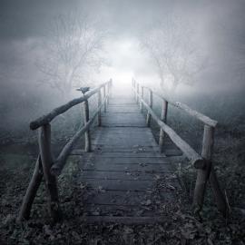 摄影镜头下的完美世界(54P)