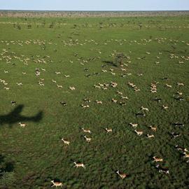 国家地理 每周精选