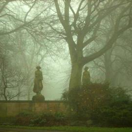 悠悠恐怖的森林