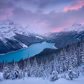 迷人的冬季景观