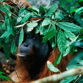 唯美的世界 by Tim