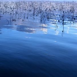 五彩的魅力世界