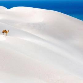 风景如画的世界