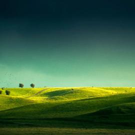 Leonard Gren 摄影作品