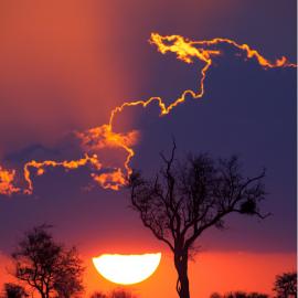 超有感觉的一张图片