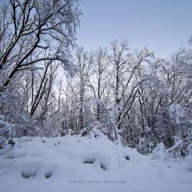 美轮美奂的冬景