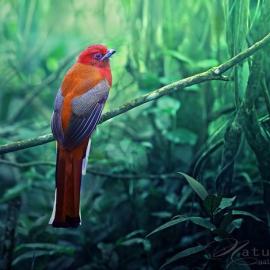 飞翔的精灵(22P)