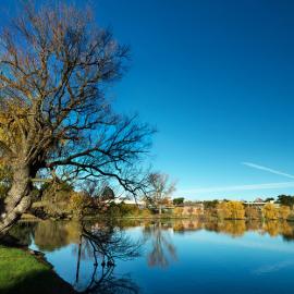 Marcellian 原始自然摄影