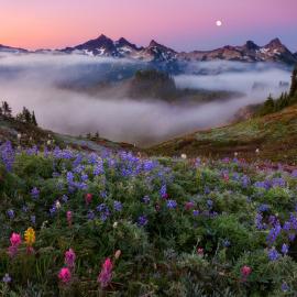 世界最美的风景画面(32P)