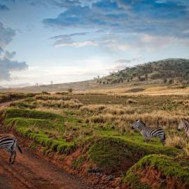 肯尼亚的自然美景