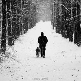 自然美景 平静之心