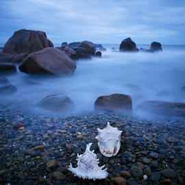 Hoangnamphoto 摄影