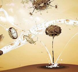 Douglas Alves 设计作品